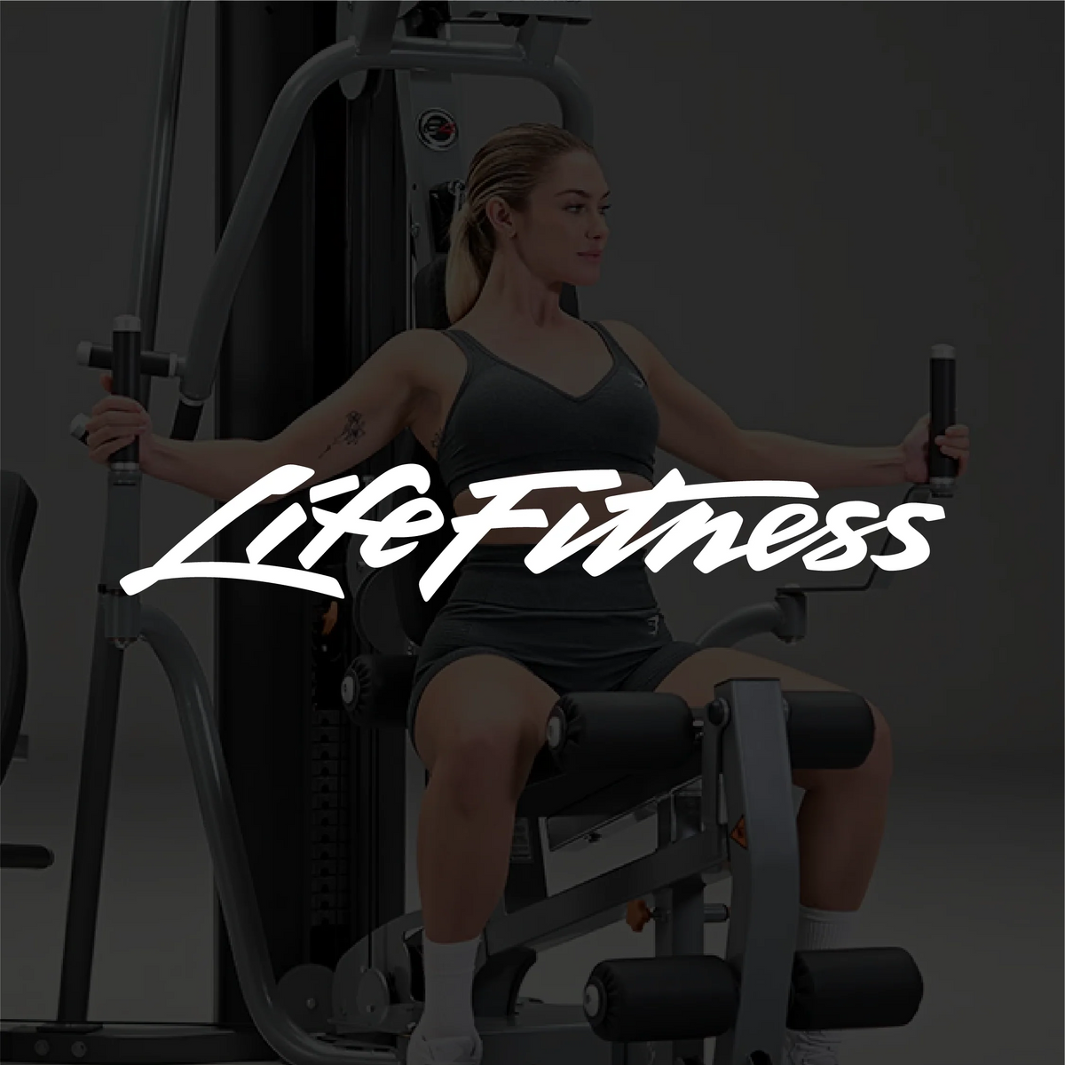 Equipos Life Fitness
