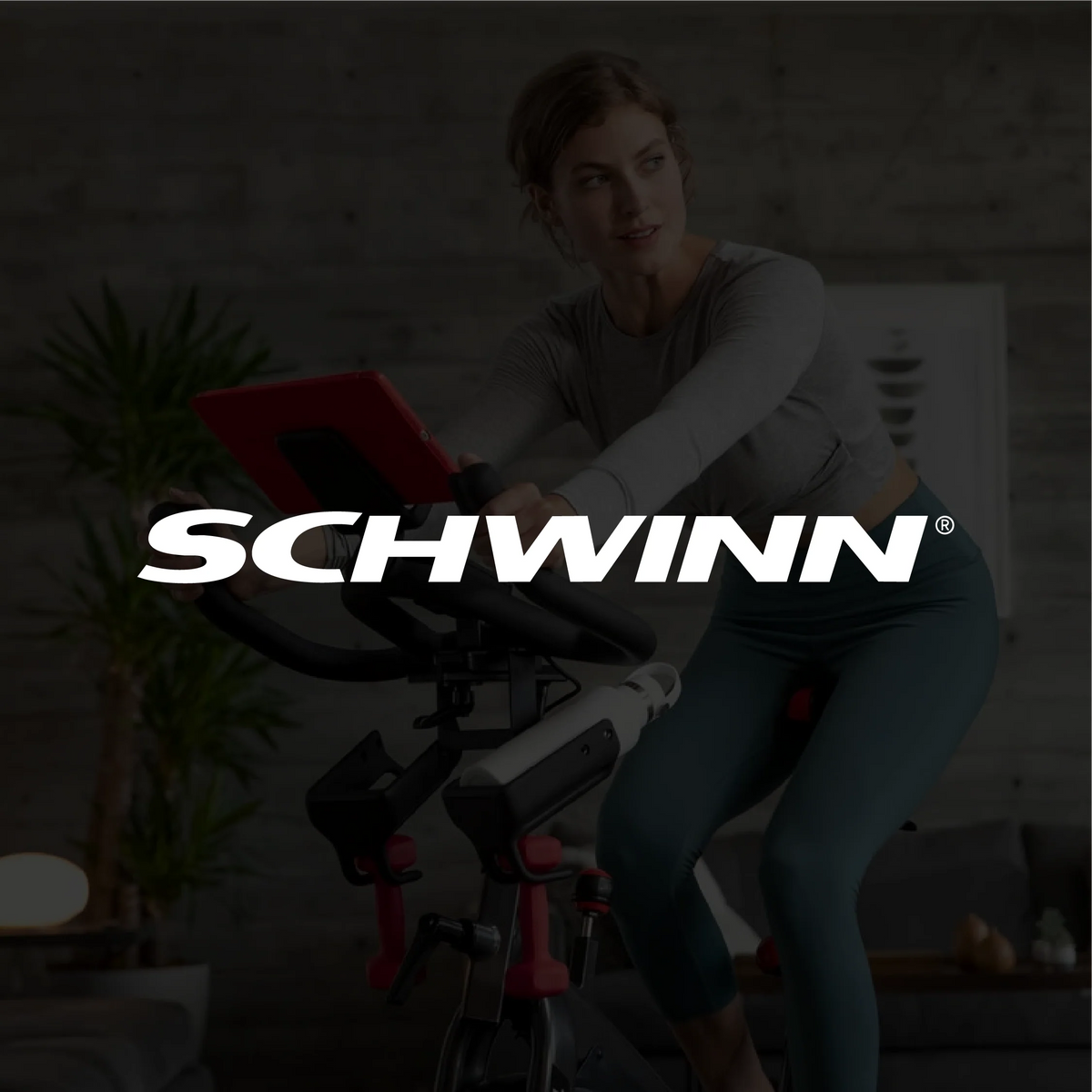 Schwinn