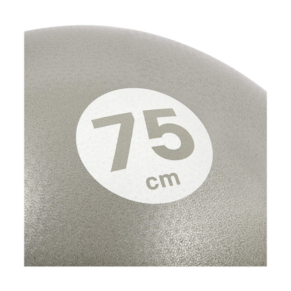 Balón De Gimnasia 75 Cm De Alta Durabilidad Reebok