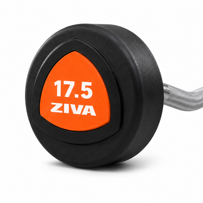 Barra Curva Ziva 17,5 lb